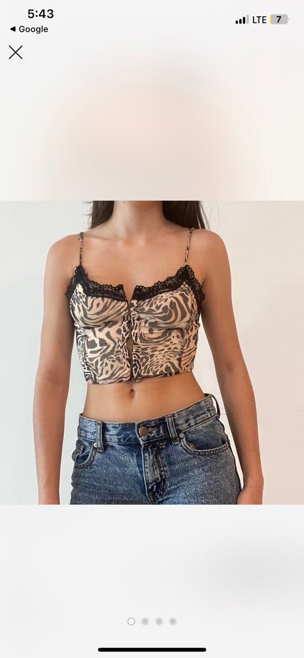 Princess Polly Animal Print Lace Trim Bustier Crop Top